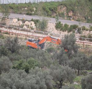 جرافات الاحتلال تجرف وتقتلع المئات من أشجار الزيتون المحاذية لجدار الفصل والتوسع العنصري في منطقة "القبلي" الواقعة بين قريتي دير قديس وخربثا بني حارث غرب رام الله لليوم الثاني على التوالي